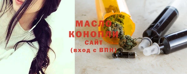 спиды Ельня