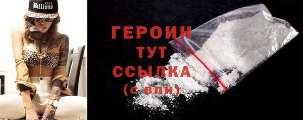 спиды Ельня