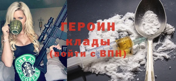 спиды Ельня