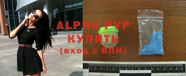 спиды Ельня