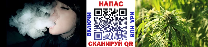 Каннабис планчик  Купить закладки  Нерюнгри 